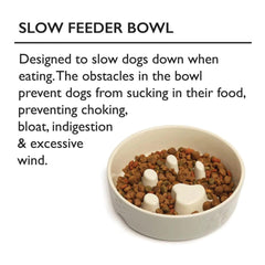 Icon 2 Piece Dog Slow Feeder & Water Bowl Set - Cream