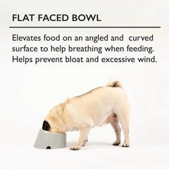 Classic 2 Piece Flat Faced Dog Food & Water Bowl - Grey