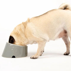 Classic 2 Piece Flat Faced Dog Food & Water Bowl - Grey