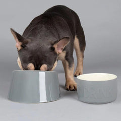 Classic 2 Piece Flat Faced Dog Food & Water Bowl - Grey