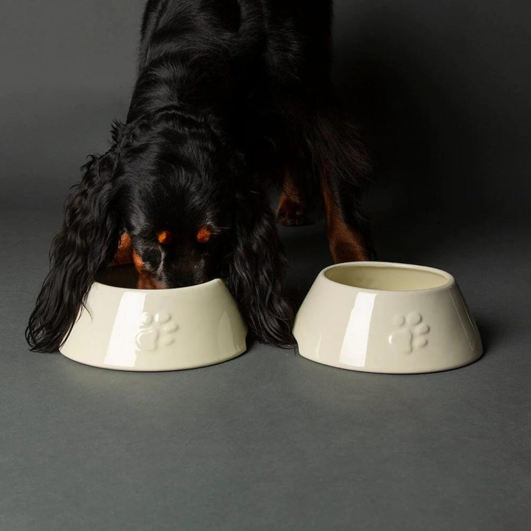 Classic 2 Piece Long Eared Dog Food & Water Bowl - Cream