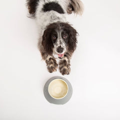 Classic 2 Piece Long Eared Dog Food & Water Bowl - Grey