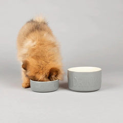 Classic 2 Piece Dog Food & Water Bowl Set - Grey