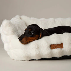 Cloud My First Round Puppy Bed & Blanket Set - Cream