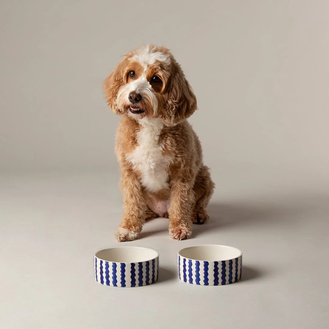 Coastal 2 Piece Dog Bowl Food & Water Bowl Set - Blue 13cm