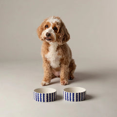 Coastal 2 Piece Dog Bowl Food & Water Bowl Set - Blue 13cm