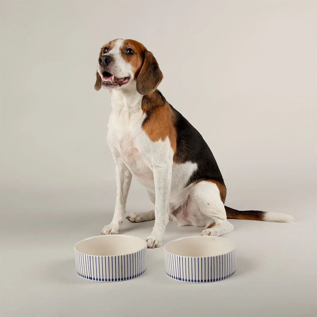 Coastal 2 Piece Dog Bowl Food & Water Bowl Set - Blue 19cm