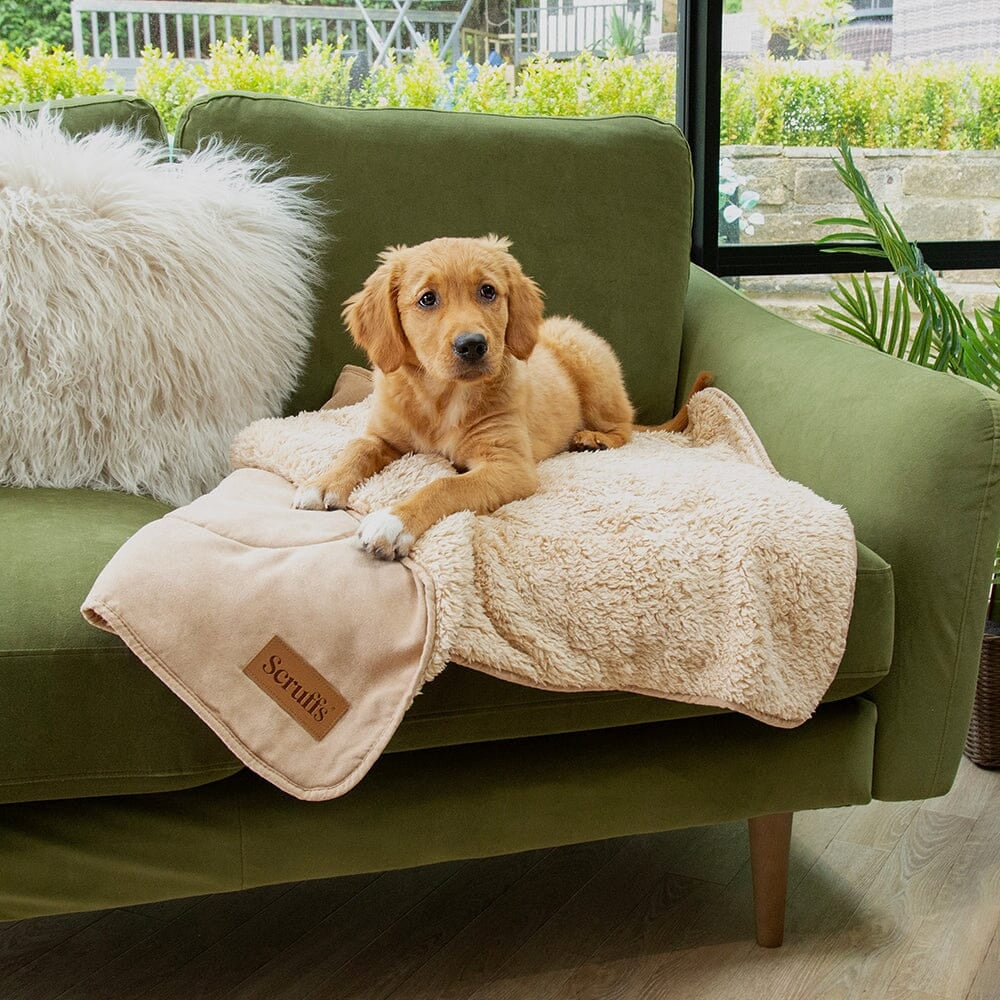 Scruffs snuggle pet blanket hotsell