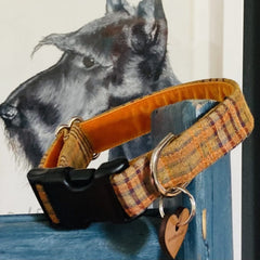 Designer Panama Orange Checked Dog Collar with Velvet Lining