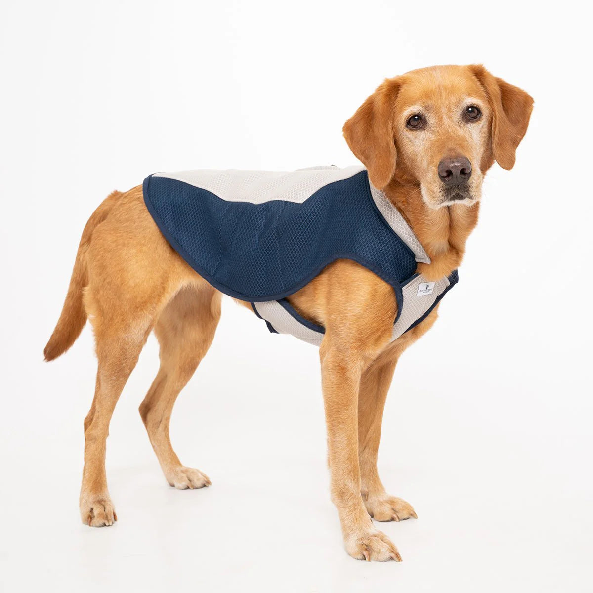 Dog Cooling Coat by Ruff And Tumble