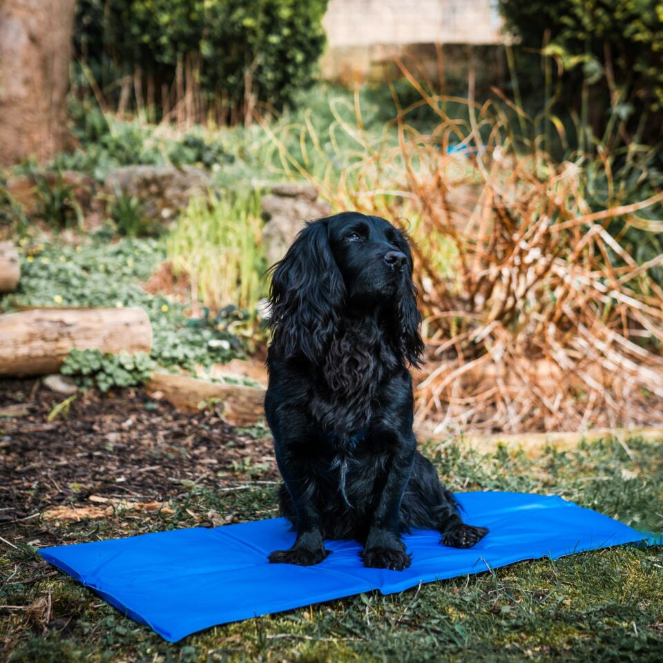 Dog Cooling Mattress by Danish Design