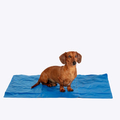 Dog Cooling Mattress by Danish Design