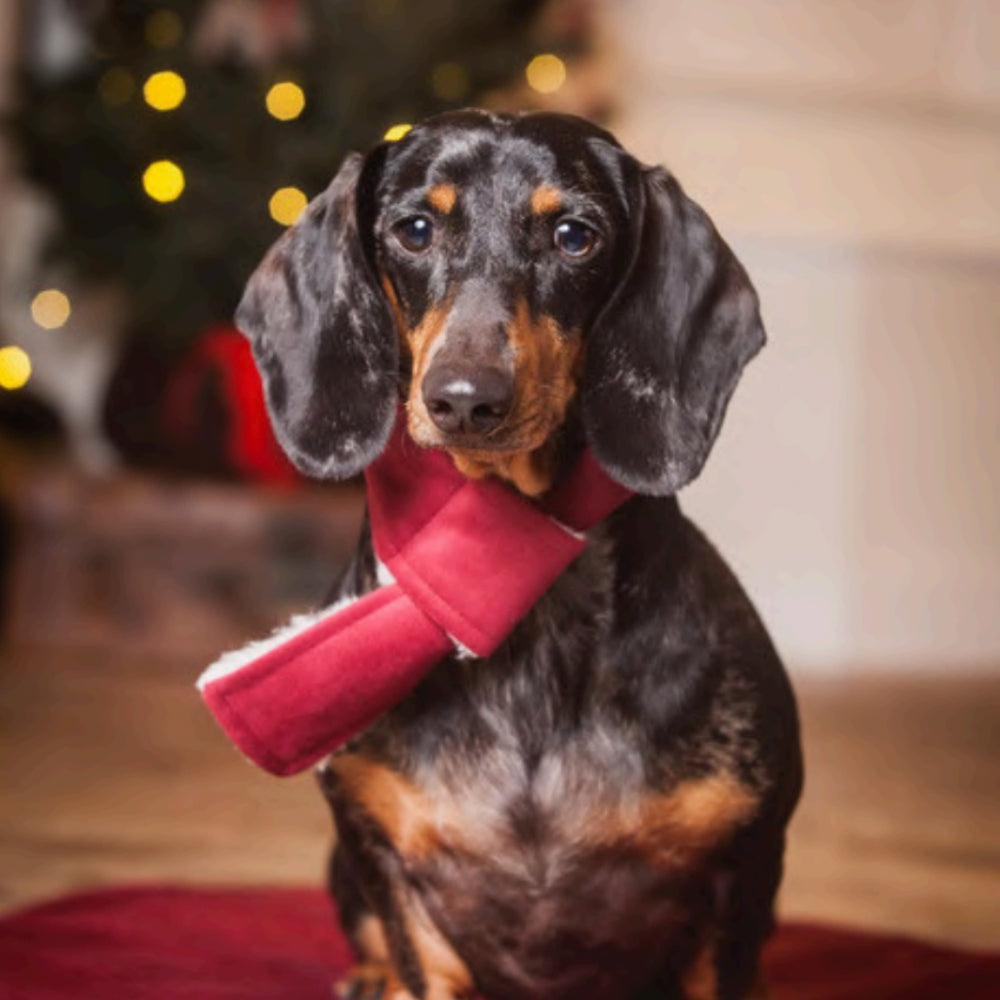Doggy Scarf in Cranberry Velvet and Sherpa