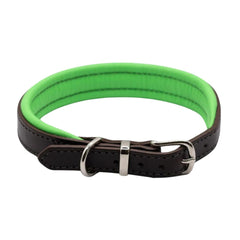 Dogs & Horses Luxury Padded Leather Dog Collar Green