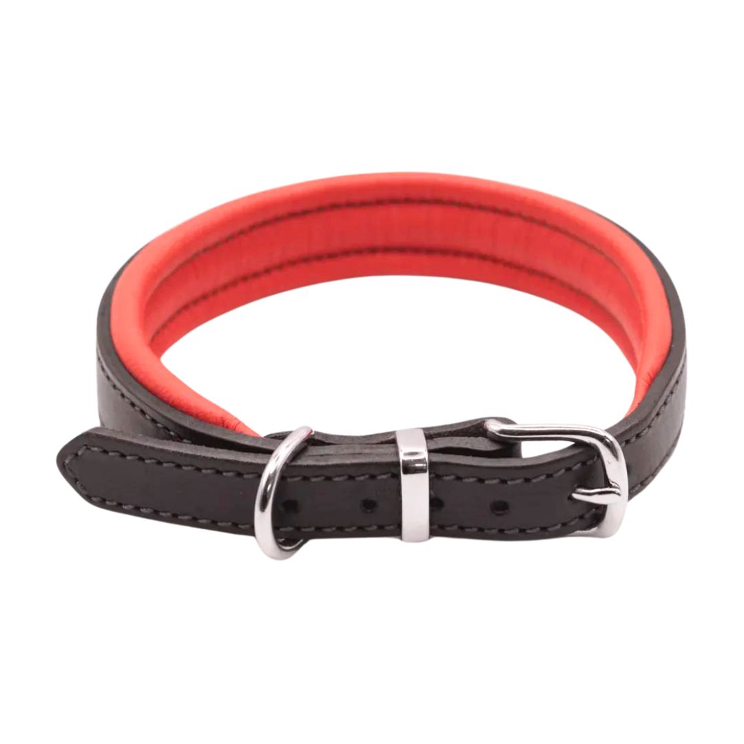 Dogs & Horses Luxury Padded Leather Dog Collar Red