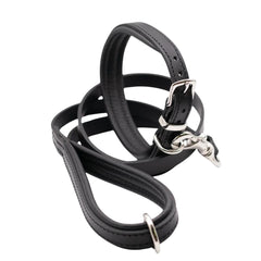 Dogs & Horses Luxury Padded Leather Dog Collar and Lead Set Black