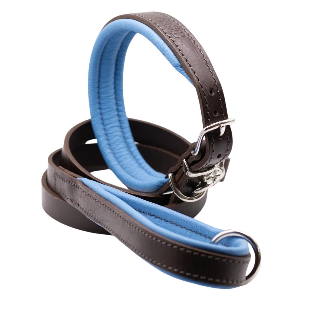 Dogs & Horses Luxury Padded Leather Dog Collar and Lead Set Blue