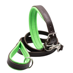 Dogs & Horses Luxury Padded Leather Dog Collar and Lead Set Green