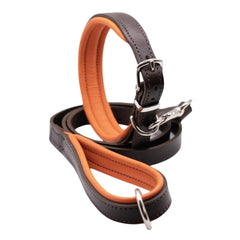 Dogs & Horses Luxury Padded Leather Dog Collar and Lead Set Orange