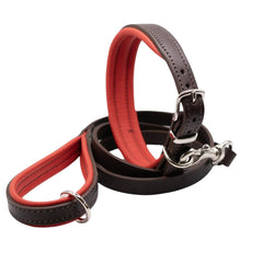 Dogs & Horses Luxury Padded Leather Dog Collar and Lead Set Red
