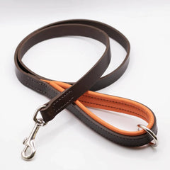 Dogs & Horses Luxury Padded Leather Dog Leads Orange
