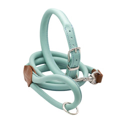 Dogs & Horses Rolled Leather Dog Collar and Lead Set Aqua