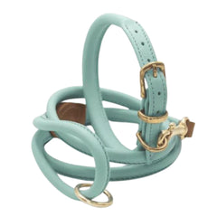 Dogs & Horses Rolled Leather Dog Collar and Lead Set Aqua