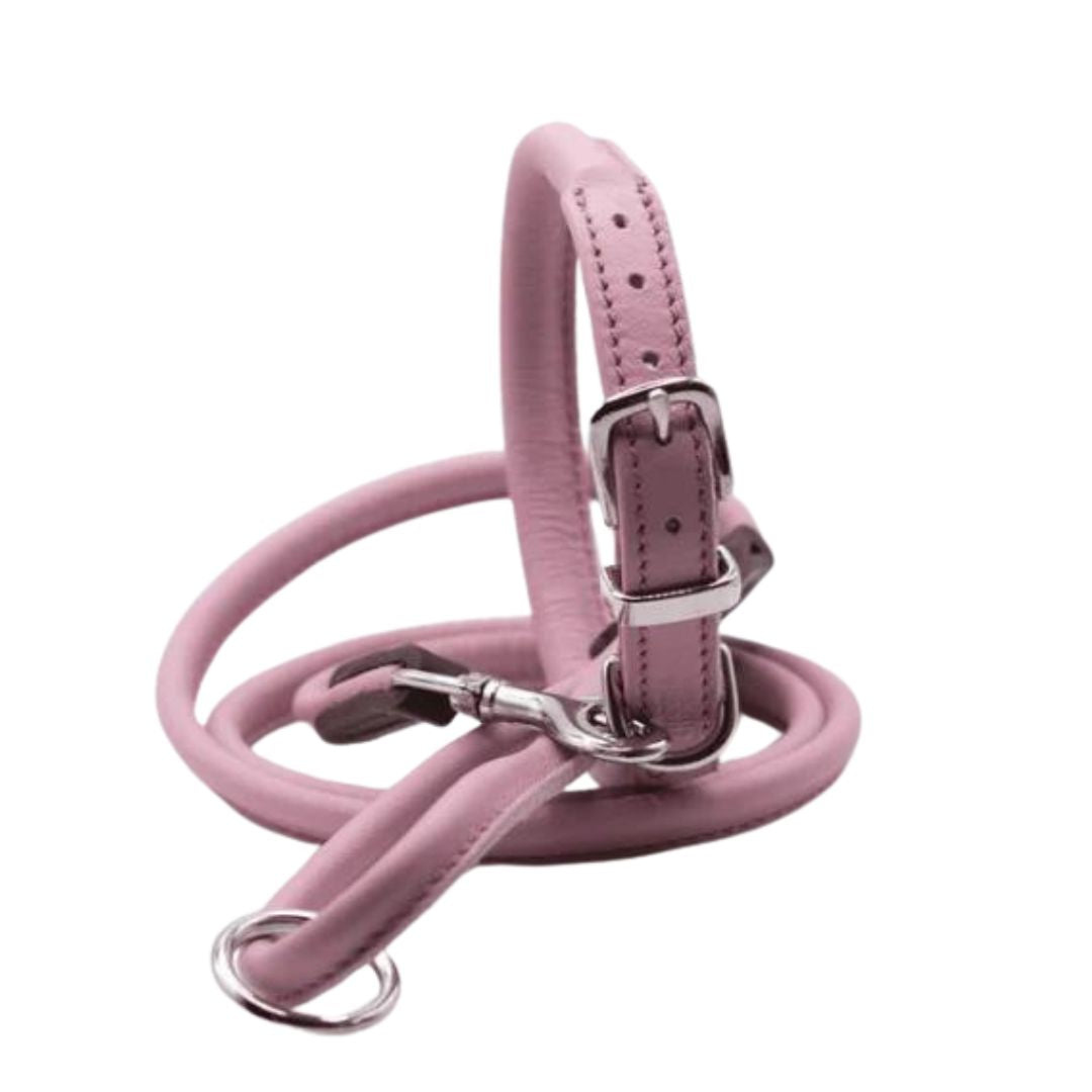 Dogs & Horses Rolled Leather Dog Collar and Lead Set Baby Pink