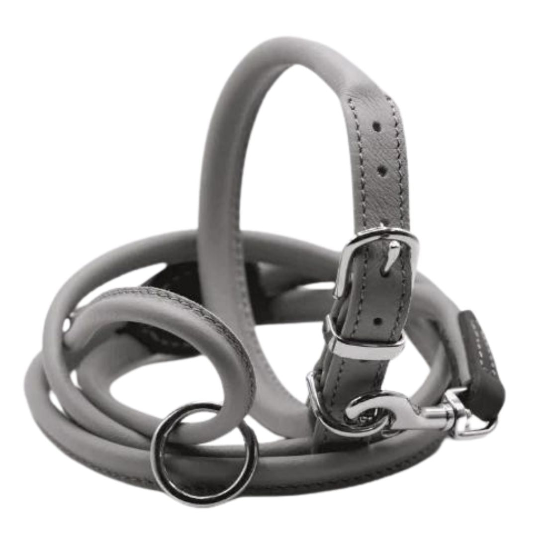 Dogs & Horses Rolled Leather Dog Collar and Lead Set Grey