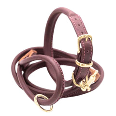 Dogs & Horses Rolled Leather Dog Collar and Lead Set Merlot & Brass