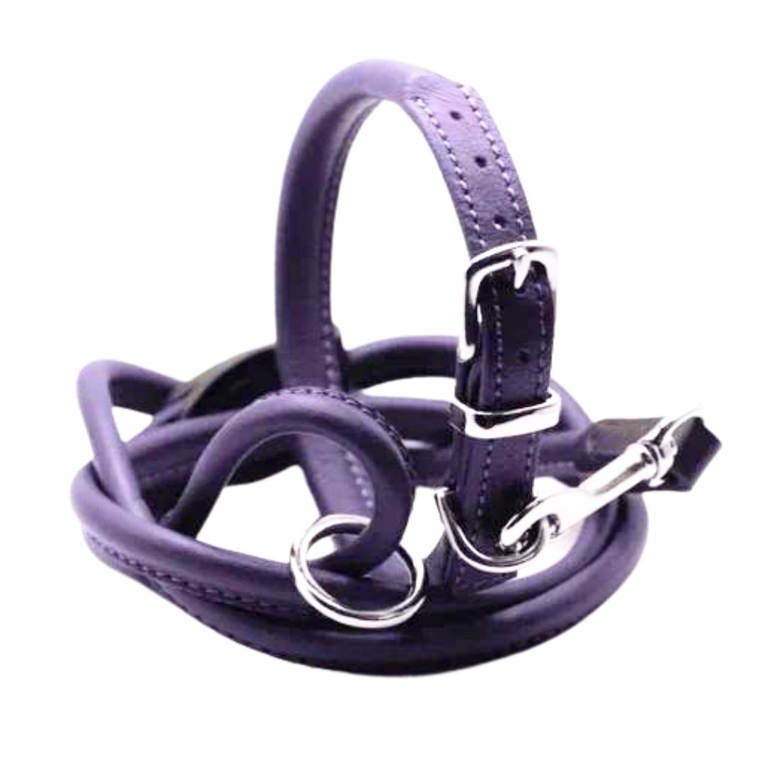 Dogs & Horses Rolled Leather Dog Collar and Lead Set Purple