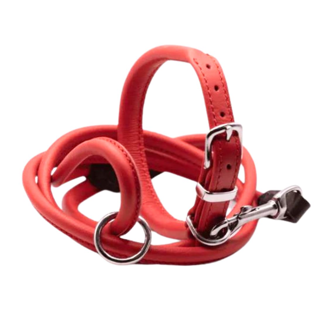 Dogs & Horses Rolled Leather Dog Collar and Lead Set Red