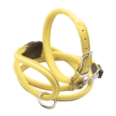 Dogs & Horses Rolled Leather Dog Collar and Lead Set Yellow