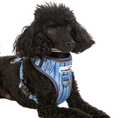 Doodlebone Adjustable Airmesh Dog Harness - Aurora