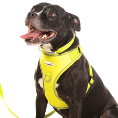 Doodlebone Adjustable Airmesh Dog Harness - Citrus