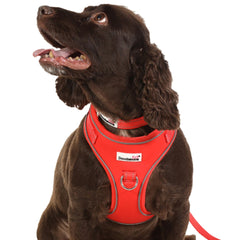 Doodlebone Adjustable Airmesh Dog Harness - Coral
