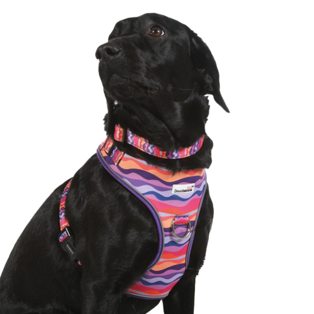 Doodlebone Adjustable Airmesh Dog Harness - Dunes