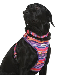 Doodlebone Adjustable Airmesh Dog Harness - Dunes