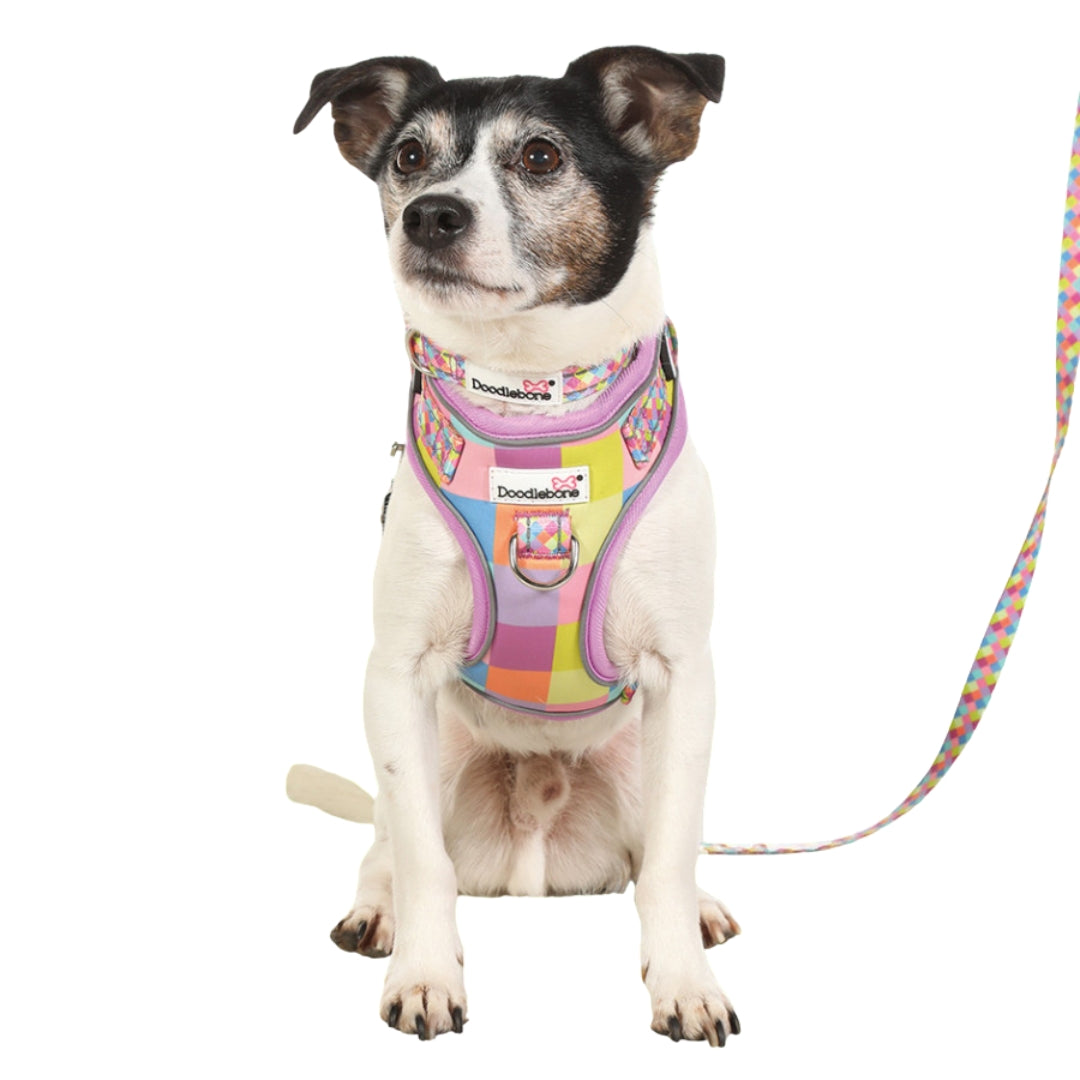 Doodlebone Adjustable Airmesh Dog Harness - Retro