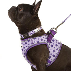 Doodlebone Snappy Step-In Dog Harness - Violet Stars