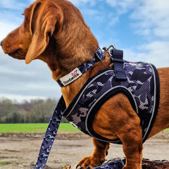 Doodlebone Snappy Step In Dog Harness - Smokey Grey Camo