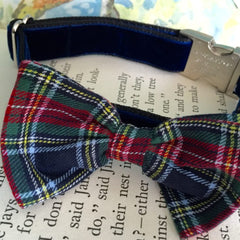 Dougal McHandsome Bow Tie Designer Dog Collar