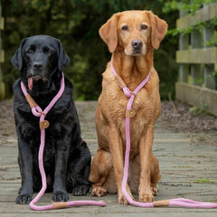 Dusky Pink Rope Dog Lead by Ruff And Tumble