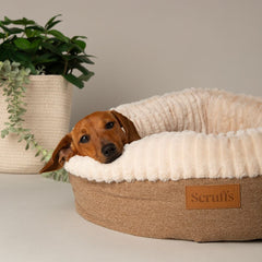 Ellen Donut Dog Bed Tan
