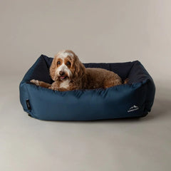 Water Resistant Expedition Box Bed - Atlantic Blue