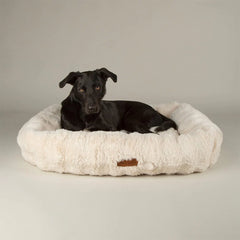 Festive Fur Box Dog Bed - Cream