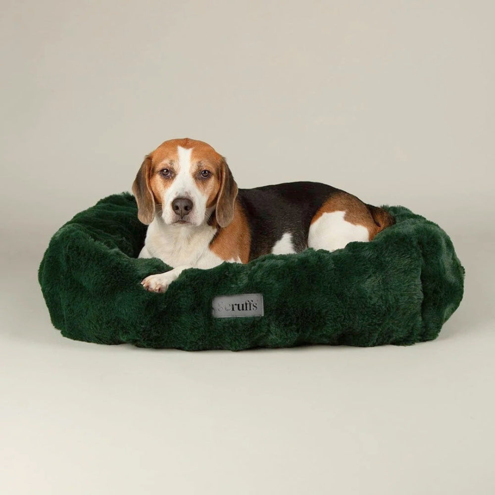 Festive Fur Box Dog Bed - Green