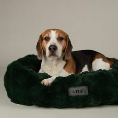 Festive Fur Box Dog Bed - Green
