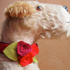 Florrie Designer Dog Collar