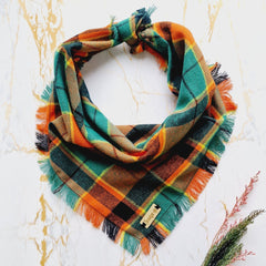 Frayed Squirrel Chaser Dog Bandana by Scamps